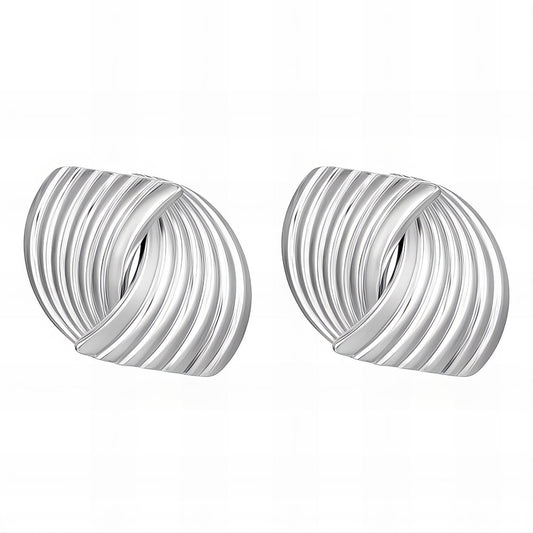 Stainless steel earrings